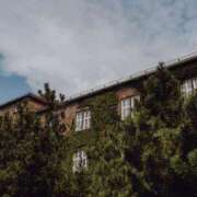 ヒメ日記 2025/03/17 20:20 投稿 舞(まい) ロケットワイフ