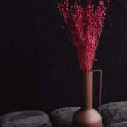 ヒメ日記 2025/03/18 09:53 投稿 舞(まい) ロケットワイフ