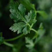 ヒメ日記 2025/03/21 01:01 投稿 舞(まい) ロケットワイフ