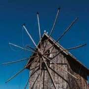 ヒメ日記 2025/03/23 10:05 投稿 舞(まい) ロケットワイフ