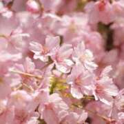 ヒメ日記 2025/03/25 07:21 投稿 舞(まい) ロケットワイフ