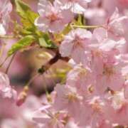 ヒメ日記 2025/03/26 21:34 投稿 舞(まい) ロケットワイフ