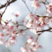 ヒメ日記 2025/03/30 22:59 投稿 舞(まい) ロケットワイフ