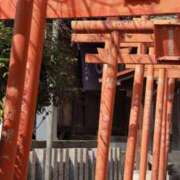 ヒメ日記 2025/04/09 20:12 投稿 舞(まい) ロケットワイフ