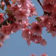 ヒメ日記 2025/04/13 23:15 投稿 舞(まい) ロケットワイフ