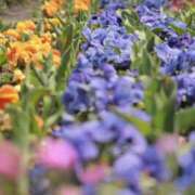 ヒメ日記 2025/04/23 22:06 投稿 舞(まい) ロケットワイフ