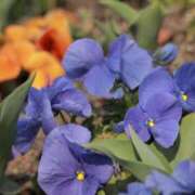 ヒメ日記 2025/04/24 07:03 投稿 舞(まい) ロケットワイフ