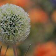 ヒメ日記 2025/04/25 18:46 投稿 舞(まい) ロケットワイフ