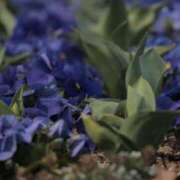 ヒメ日記 2025/04/27 22:02 投稿 舞(まい) ロケットワイフ