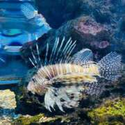 ヒメ日記 2025/04/29 22:02 投稿 舞(まい) ロケットワイフ