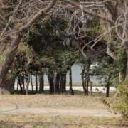 ヒメ日記 2025/05/01 06:48 投稿 舞(まい) ロケットワイフ