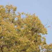 ヒメ日記 2025/05/01 23:15 投稿 舞(まい) ロケットワイフ