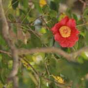 ヒメ日記 2025/05/02 23:48 投稿 舞(まい) ロケットワイフ