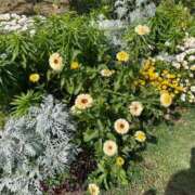 ヒメ日記 2025/05/07 08:11 投稿 舞(まい) ロケットワイフ