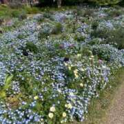 ヒメ日記 2025/05/08 07:30 投稿 舞(まい) ロケットワイフ