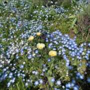 ヒメ日記 2025/05/09 08:53 投稿 舞(まい) ロケットワイフ