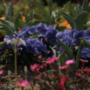 ヒメ日記 2025/05/10 23:45 投稿 舞(まい) ロケットワイフ