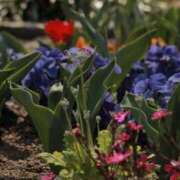 ヒメ日記 2025/05/11 22:39 投稿 舞(まい) ロケットワイフ