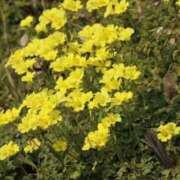 ヒメ日記 2025/05/12 23:39 投稿 舞(まい) ロケットワイフ