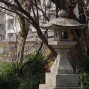 ヒメ日記 2025/05/13 20:53 投稿 舞(まい) ロケットワイフ