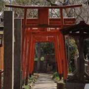 ヒメ日記 2025/05/19 18:46 投稿 舞(まい) ロケットワイフ