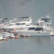 ヒメ日記 2025/05/20 23:23 投稿 舞(まい) ロケットワイフ