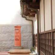 ヒメ日記 2025/05/21 23:51 投稿 舞(まい) ロケットワイフ