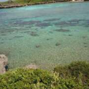 ヒメ日記 2025/05/24 11:34 投稿 舞(まい) ロケットワイフ