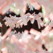 ヒメ日記 2025/05/26 21:47 投稿 舞(まい) ロケットワイフ