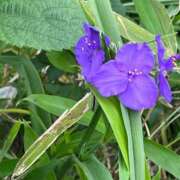 ヒメ日記 2025/05/29 20:00 投稿 舞(まい) ロケットワイフ