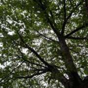 ヒメ日記 2025/05/30 17:45 投稿 舞(まい) ロケットワイフ