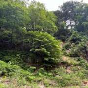 ヒメ日記 2025/06/08 09:26 投稿 舞(まい) ロケットワイフ