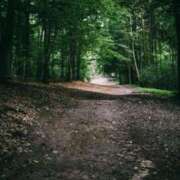 ヒメ日記 2025/07/01 21:22 投稿 舞(まい) ロケットワイフ