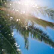 ヒメ日記 2025/07/09 22:51 投稿 舞(まい) ロケットワイフ