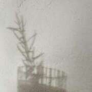 ヒメ日記 2025/07/17 22:33 投稿 舞(まい) ロケットワイフ