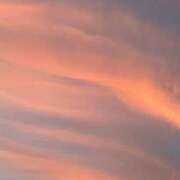 ヒメ日記 2025/07/19 22:28 投稿 舞(まい) ロケットワイフ