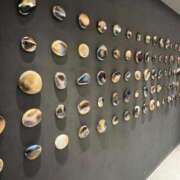 ヒメ日記 2025/07/24 11:26 投稿 舞(まい) ロケットワイフ