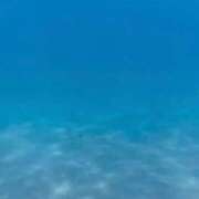 ヒメ日記 2025/07/27 22:56 投稿 舞(まい) ロケットワイフ