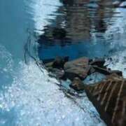 ヒメ日記 2025/07/28 23:55 投稿 舞(まい) ロケットワイフ