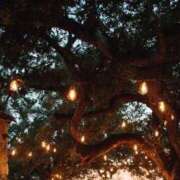 ヒメ日記 2025/08/13 19:48 投稿 舞(まい) ロケットワイフ