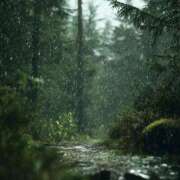 ヒメ日記 2025/08/17 20:25 投稿 舞(まい) ロケットワイフ