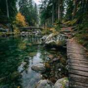 ヒメ日記 2025/08/24 10:39 投稿 舞(まい) ロケットワイフ