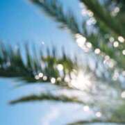 ヒメ日記 2025/08/30 09:15 投稿 舞(まい) ロケットワイフ