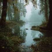 ヒメ日記 2025/09/06 13:05 投稿 舞(まい) ロケットワイフ