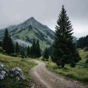 ヒメ日記 2025/09/17 21:53 投稿 舞(まい) ロケットワイフ