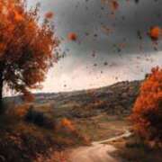 ヒメ日記 2025/09/30 08:09 投稿 舞(まい) ロケットワイフ