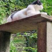 ヒメ日記 2025/10/11 22:45 投稿 舞(まい) ロケットワイフ