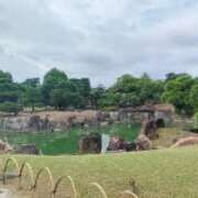 ヒメ日記 2025/10/14 11:32 投稿 舞(まい) ロケットワイフ