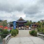 ヒメ日記 2025/10/17 10:13 投稿 舞(まい) ロケットワイフ