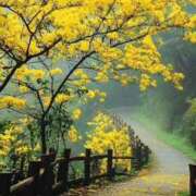 ヒメ日記 2025/10/22 19:22 投稿 舞(まい) ロケットワイフ